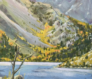 Paint Mono County