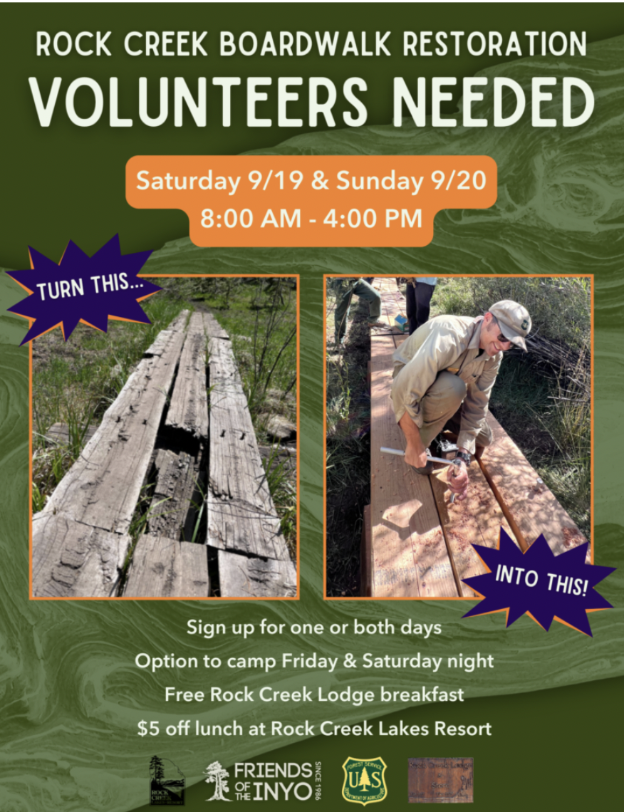Upper Rock Creek Restoration